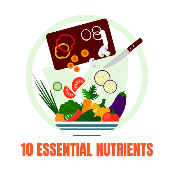 10 Essential Nutrients for a Healthy Plant-Based Diet